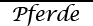 Pferde