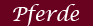 Pferde